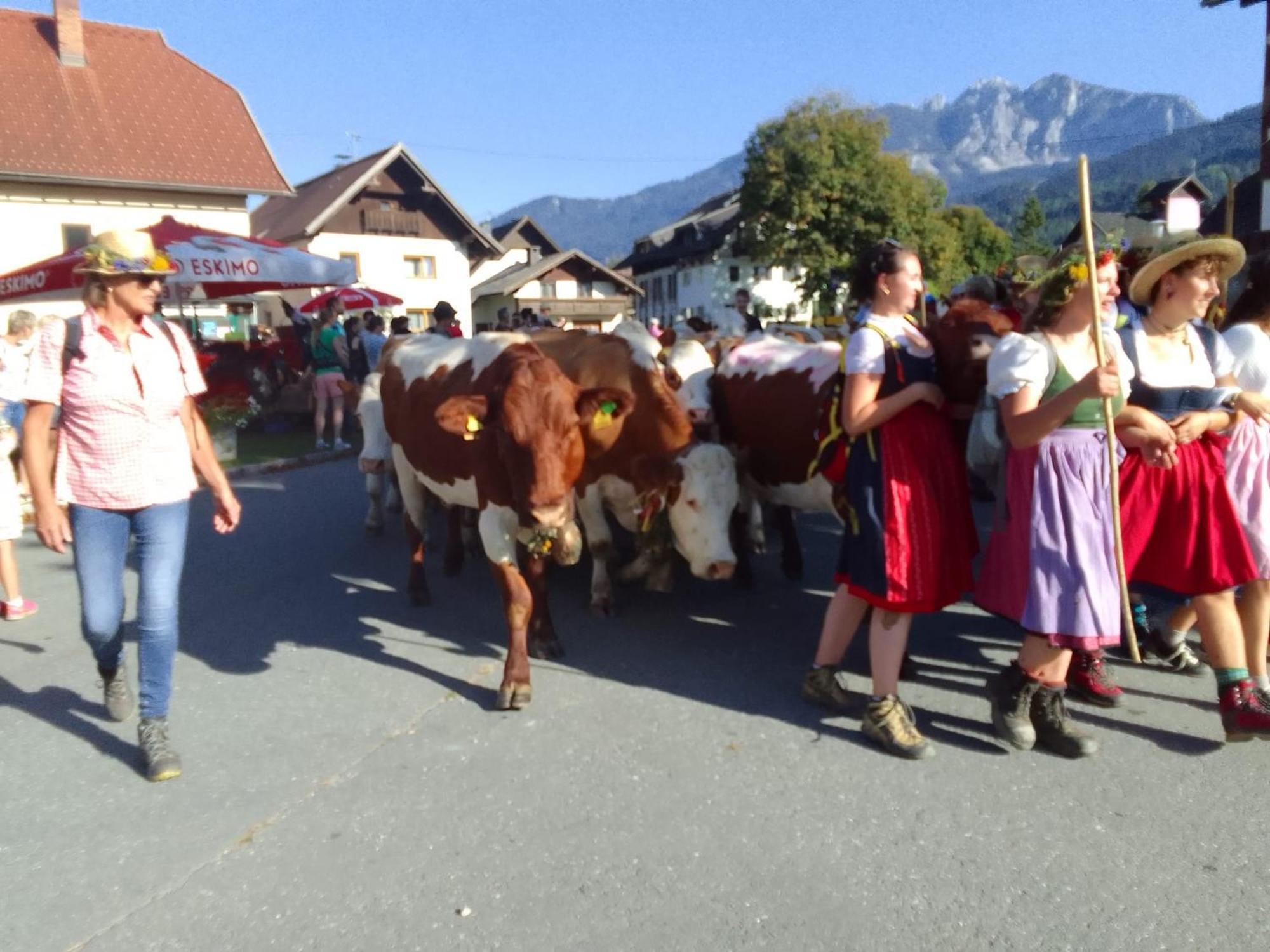 Landhaus Marie Hermagor-Pressegger See Zewnętrze zdjęcie